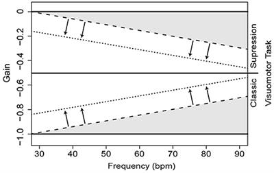 Skill-Related Adaptive Modifications of Gaze Stabilization in Elite and Non-Elite Athletes